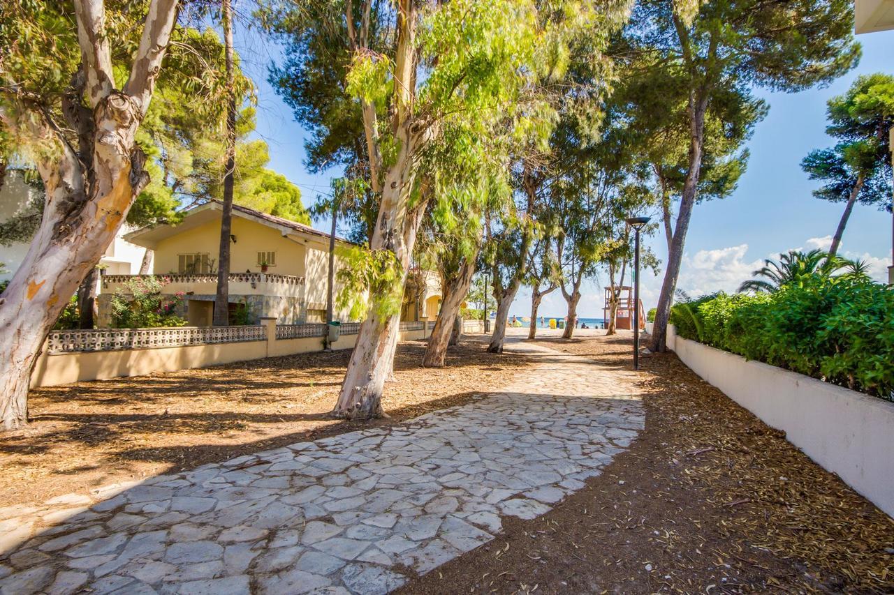 Ideal Mallorca - Rosita 12a *